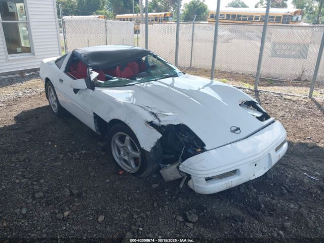 1996 CHEVROLET CORVETTE 1G1YY22P8T5102860