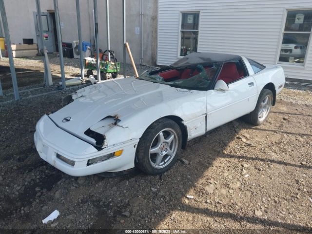 1996 CHEVROLET CORVETTE 1G1YY22P8T5102860 Photo 1