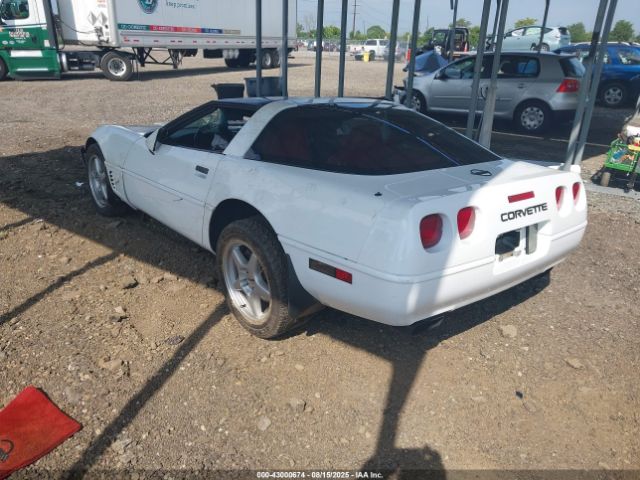1996 CHEVROLET CORVETTE 1G1YY22P8T5102860 Photo 2