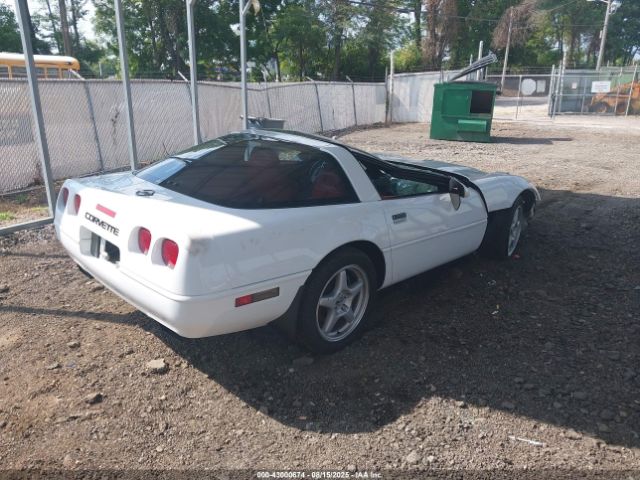 1996 CHEVROLET CORVETTE 1G1YY22P8T5102860 Photo 3
