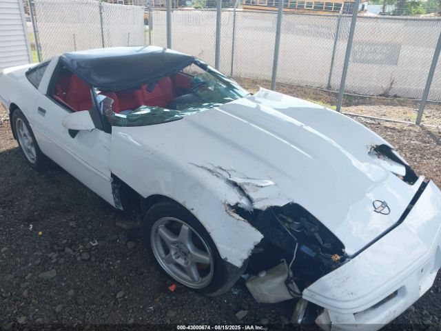 1996 CHEVROLET CORVETTE 1G1YY22P8T5102860 Photo 5