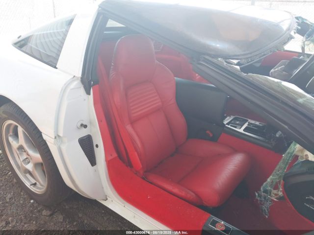 1996 CHEVROLET CORVETTE 1G1YY22P8T5102860 Photo 7