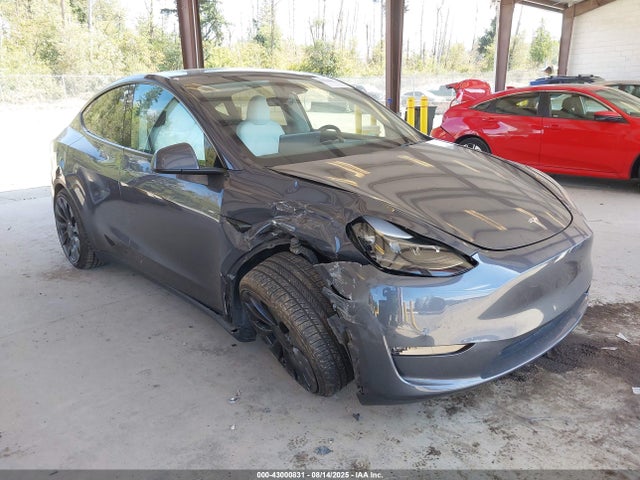 2023 TESLA MODEL Y 7SAYGDEF5PF884650 Photo 0