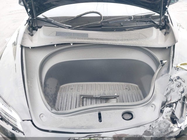 2025 TESLA MODEL 3 5YJ3E1EA0SF982154 Photo 9