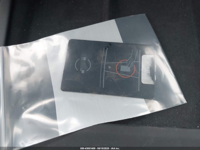 2025 TESLA MODEL 3 5YJ3E1EA0SF982154 Photo 10