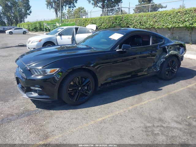 Ford 2015 2015 1FA6P8TH4F5370231 Image 2