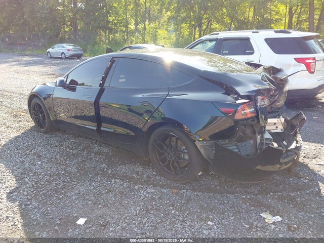 2019 TESLA MODEL 3 5YJ3E1EB9KF432282 Photo 2