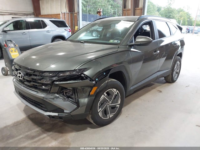 2025 HYUNDAI TUCSON HYBRID KM8JBDD18SU289659 Photo 1