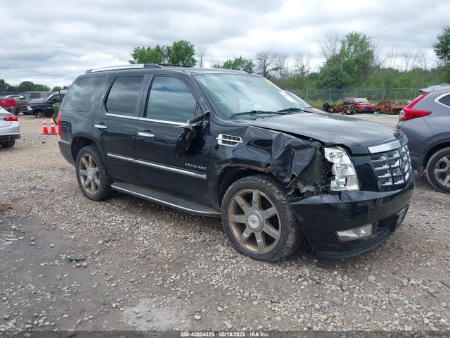 2010 CADILLAC ESCALADE 1GYUKBEF8AR157691 Photo 0