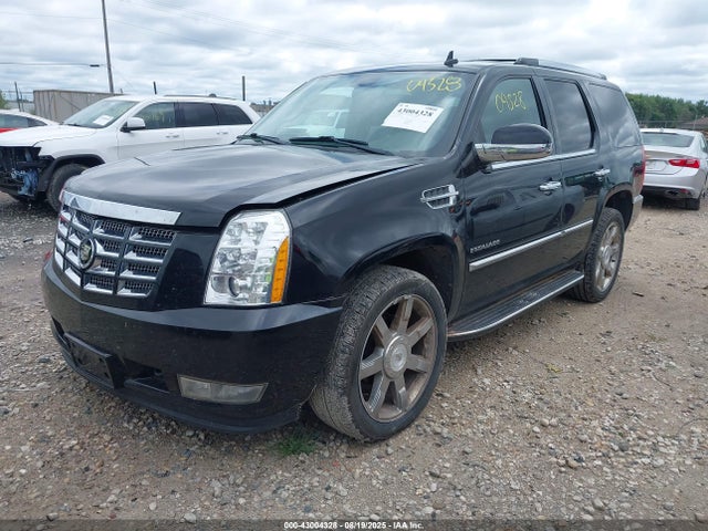 2010 CADILLAC ESCALADE 1GYUKBEF8AR157691 Photo 1