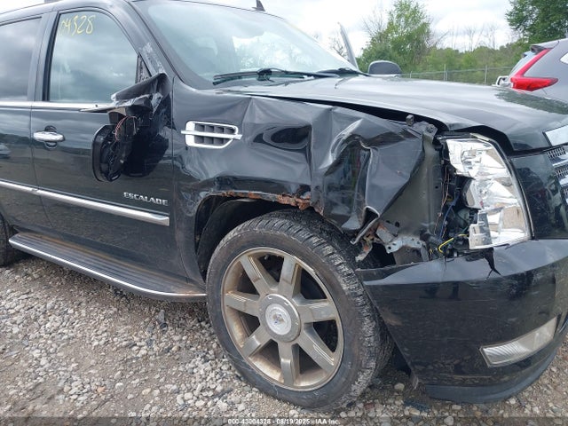 2010 CADILLAC ESCALADE 1GYUKBEF8AR157691 Photo 5