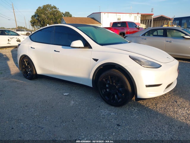 2023 TESLA MODEL Y 7SAYGDEE9PA146600 Photo 0