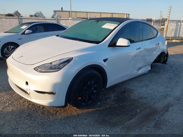 2023 TESLA MODEL Y 7SAYGDEE9PA146600 Photo 1