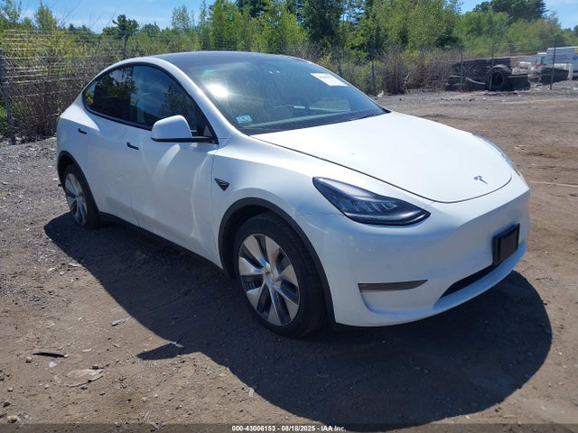 2021 TESLA MODEL Y 5YJYGDEE5MF083409 Photo 0