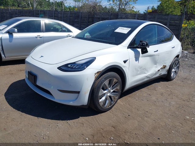 2021 TESLA MODEL Y 5YJYGDEE5MF083409 Photo 1