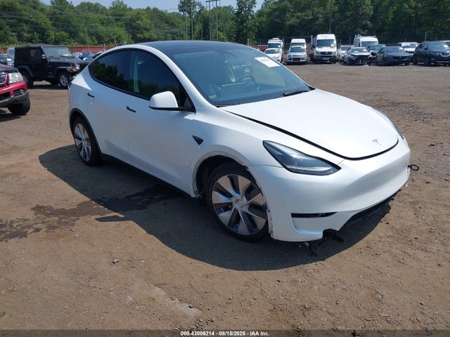 2023 TESLA MODEL Y 7SAYGDEE4PF662219 Photo 0