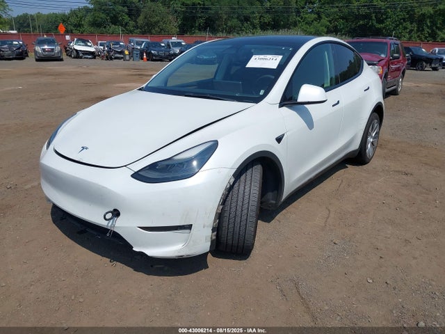 Tesla Model Y 2023 7SAYGDEE4PF662219 Image 19