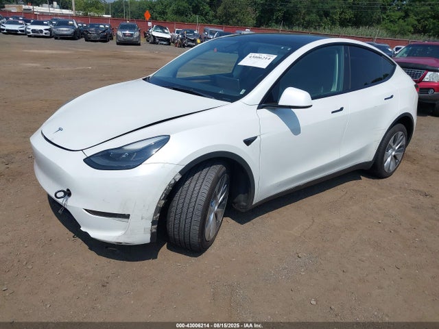 2023 TESLA MODEL Y 7SAYGDEE4PF662219 Photo 1