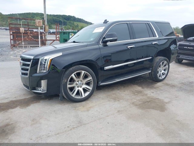 2016 CADILLAC ESCALADE 1GYS4BKJ7GR466605 Photo 1