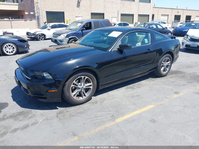 1ZVBP8AM4E5206238 Ford 2014