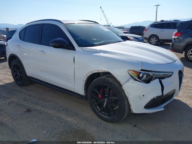 2019 ALFA ROMEO STELVIO ZASPAKBN4K7C38094