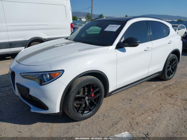 2019 ALFA ROMEO STELVIO ZASPAKBN4K7C38094 Photo 1