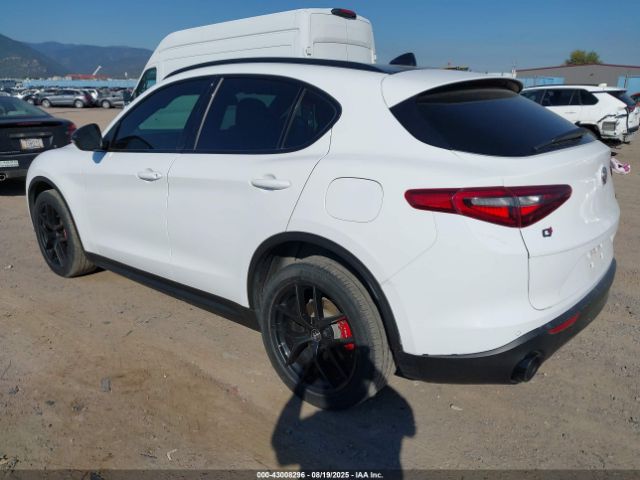 2019 ALFA ROMEO STELVIO ZASPAKBN4K7C38094 Photo 2