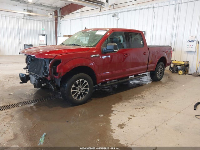 1FTFW1E40KKC60061 Ford F150