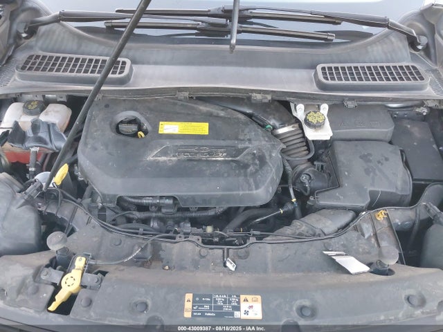 1FMCU0GX8GUC88773 Ford Escape