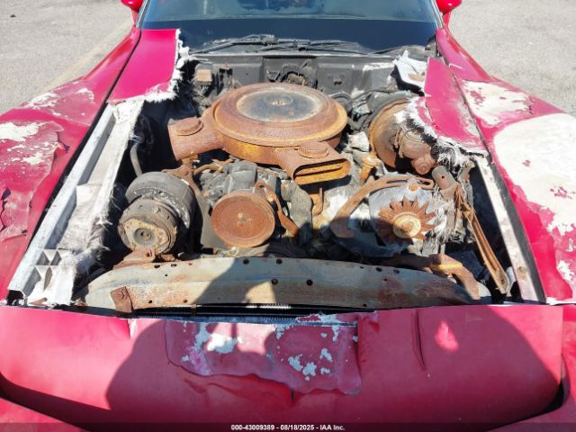 1981 CHEVROLET CORVETTE 1G1AY8763BS415285 Photo 9