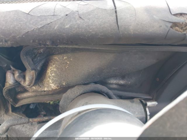 1981 CHEVROLET CORVETTE 1G1AY8763BS415285 Photo 6