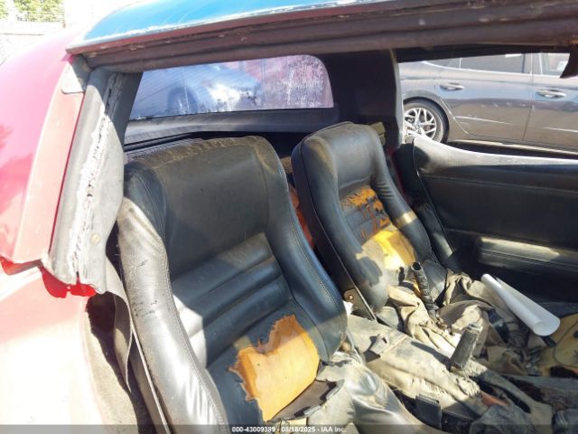 1981 CHEVROLET CORVETTE 1G1AY8763BS415285 Photo 7