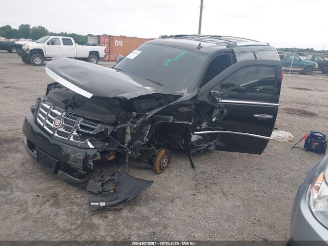 2009 CADILLAC ESCALADE 1GYFK23259R208858 Photo 1