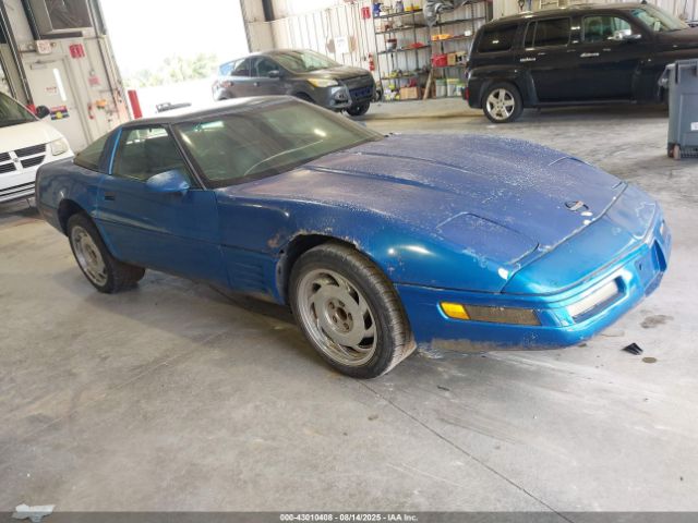 1991 CHEVROLET CORVETTE 1G1YY238XM5109690