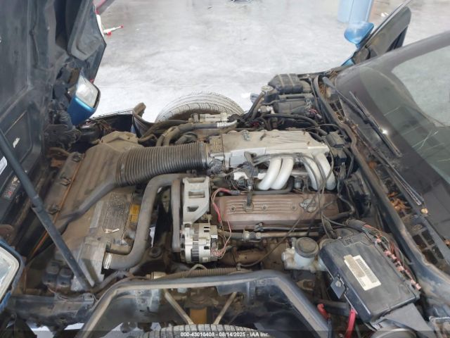 1991 CHEVROLET CORVETTE 1G1YY238XM5109690 Photo 9