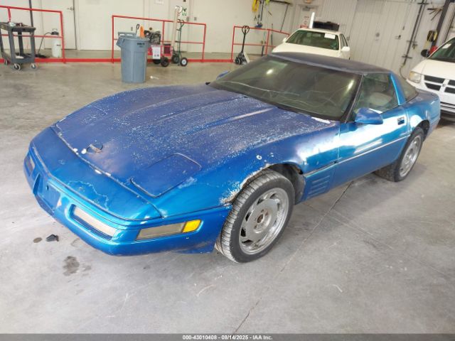 1991 CHEVROLET CORVETTE 1G1YY238XM5109690 Photo 1