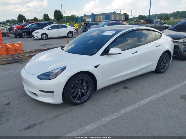 2021 TESLA MODEL 3 5YJ3E1EB3MF038019 Photo 1