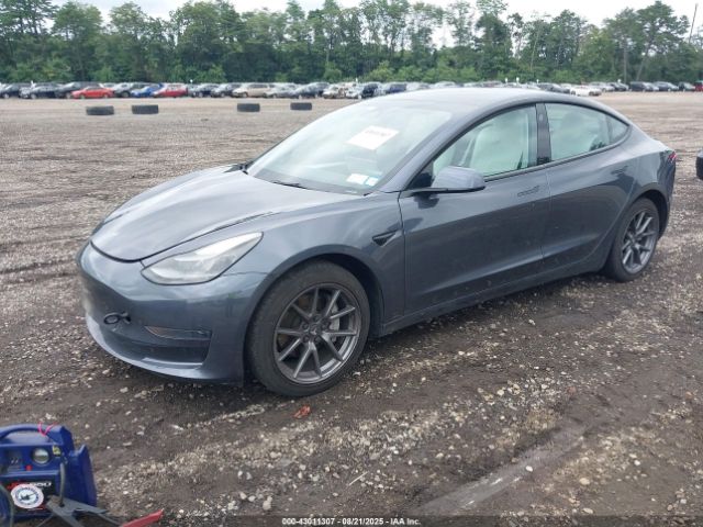 2022 TESLA MODEL 3 5YJ3E1EA0NF174276 Photo 1