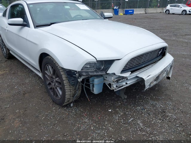 1ZVBP8AM6E5271219 Ford 2014