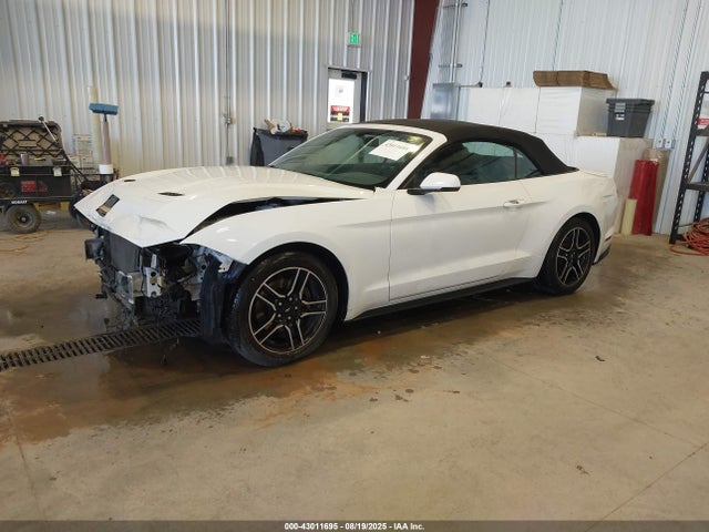 1FATP8UH5L5125435 Ford Mustang