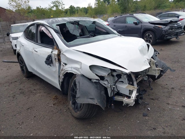 2023 TESLA MODEL Y 7SAYGAEE3PF585485 Photo 0