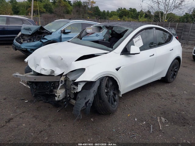 2023 TESLA MODEL Y 7SAYGAEE3PF585485 Photo 1