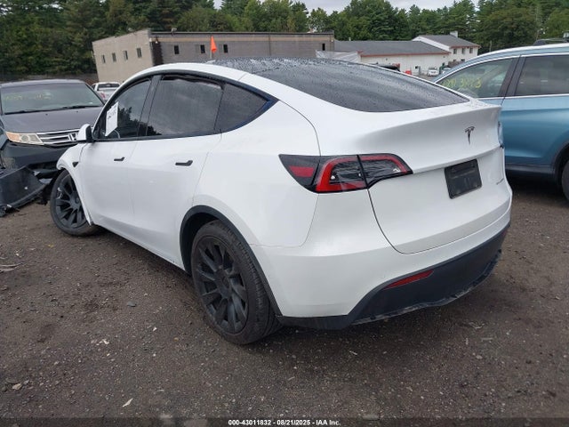 2023 TESLA MODEL Y 7SAYGAEE3PF585485 Photo 2