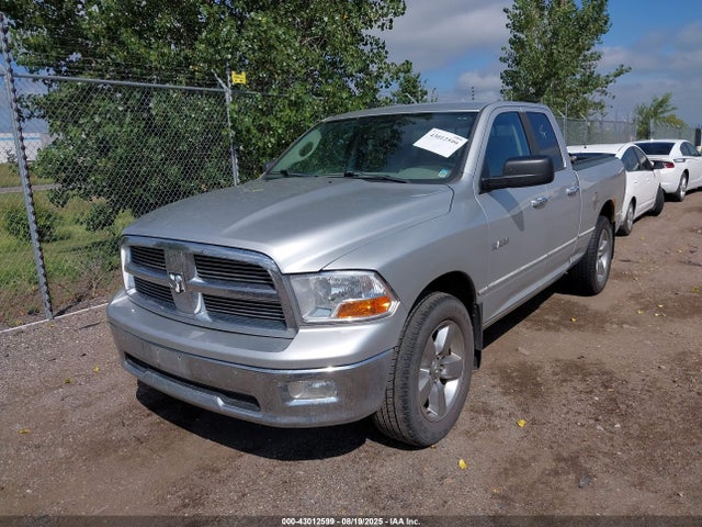 2009 DODGE RAM 1500 1D3HV18P39S789894 Photo 1