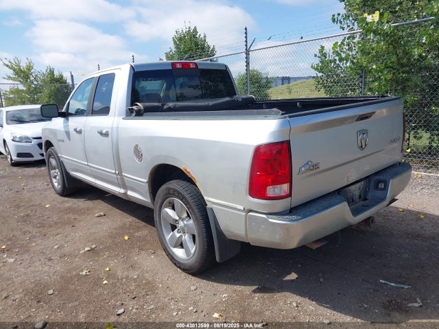 2009 DODGE RAM 1500 1D3HV18P39S789894 Photo 2
