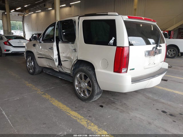 2009 CADILLAC ESCALADE 1GYFK23239R294543 Photo 2