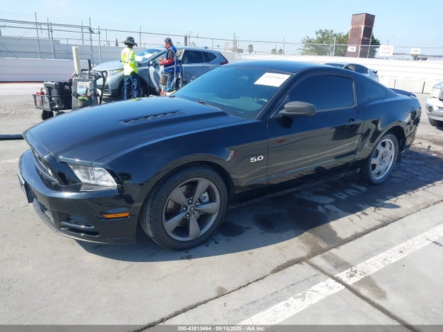 1ZVBP8CFXE5310103 Ford 2014