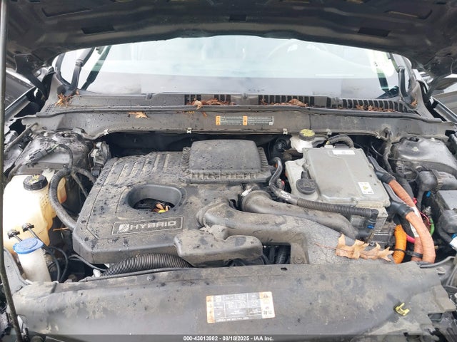 3FA6P0MU0KR189552 Ford 2019