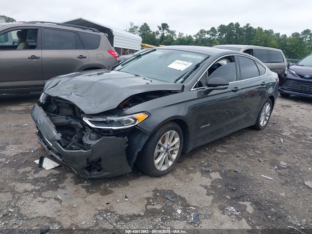 3FA6P0MU0KR189552 Ford 2019