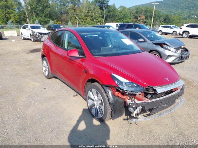 2023 TESLA MODEL Y 7SAYGDEE3PA211778 Photo 0